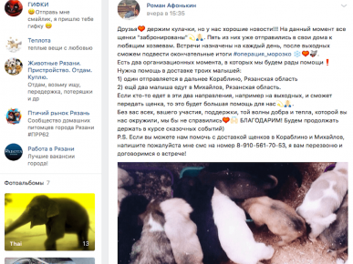 VK post, tko i kada uzima štene