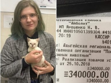 U Maykopu je student platio dugove dobrovoljaca za spašavanje mačića