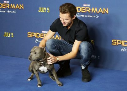 Tom Holland s Tessie