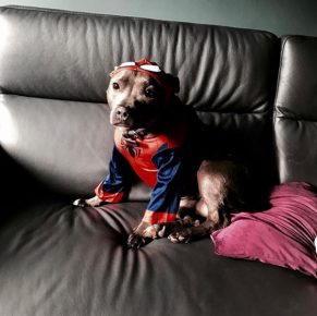 Tessie u odijelu