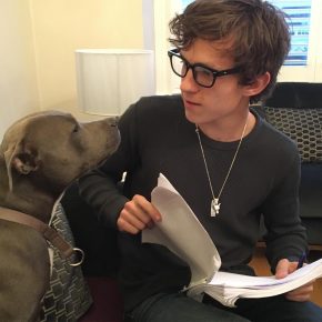 Tom i Tessie