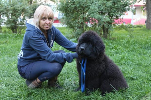 „”