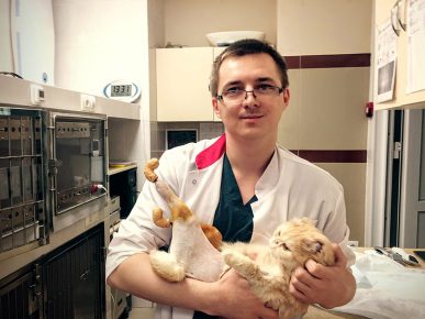 Veterinar s đumbirom